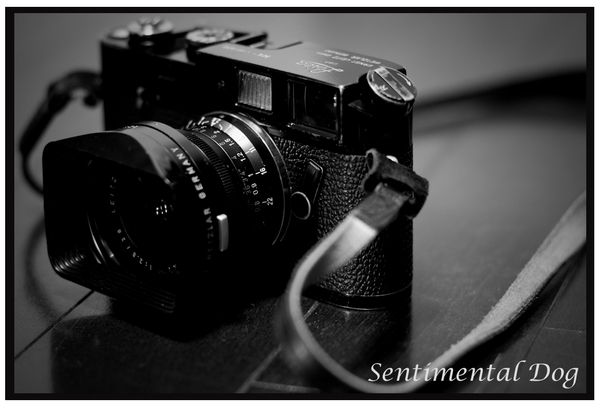 Leica M4BP.jpg